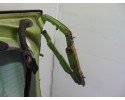 Porton trasero, Volkswagen New Beetle Berlina (9C1/1C1) 1.9 Tdi 1999