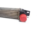 Intercooler, Peugeot Bipper Básico 2010