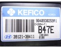 Centralita motor uce, Hyundai Santa Fe (Sm) 2.4 Gls 2004, 3912138411