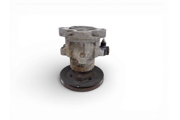 Bomba direccion, Volkswagen Golf Iii (1H1)(11.1991) S 2004