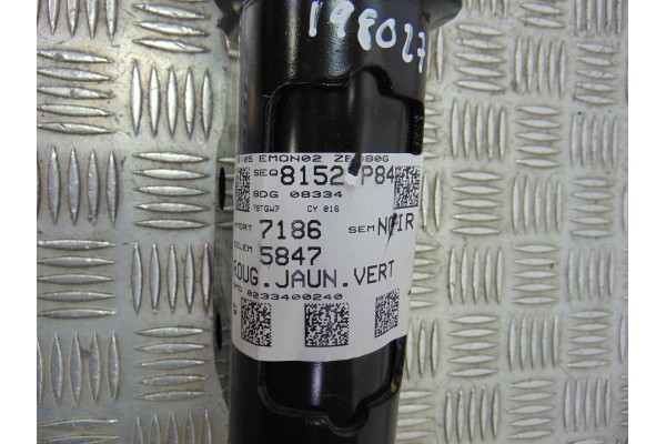 Amortiguador delantero izquierdo, 9819718680 usado 4