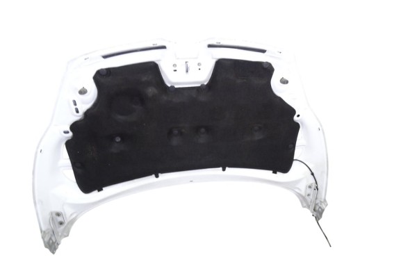 Capo, Ford Fiesta (CB1) Ambiente 2010