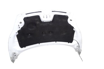 Capo, Ford Fiesta (CB1) Ambiente 2010