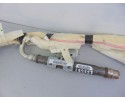 Airbag cortina delantero derecho, Nissan Pathfinder (R51) 2.5 dCi LE 2005