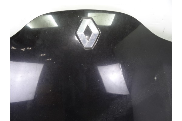 Capo, Renault Laguna Ii Grandtour (KG0) Dynamique 2004 usado 5