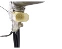 Elevalunas delantero derecho, Bmw Serie 1 Berlina (E81/E87) 116i 2007