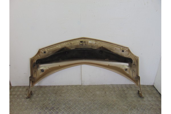 Capo, Renault Modus I Pack Authentique 2005, ORO