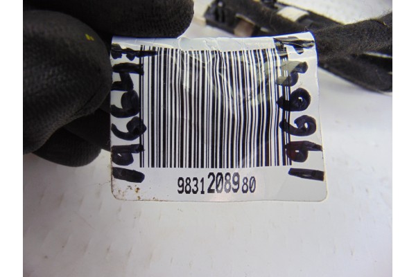 Módulo electrónico, 9831208980