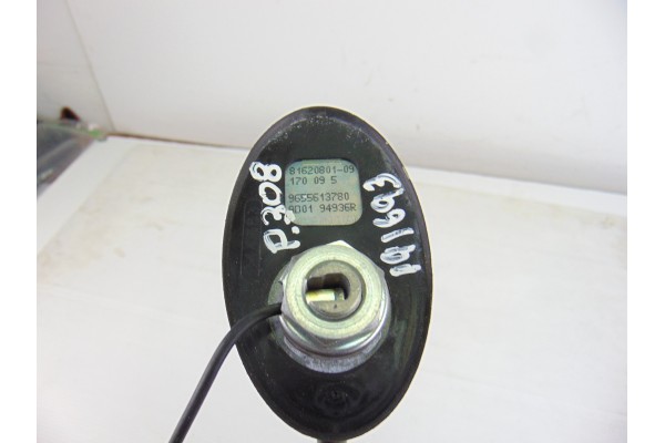 Antena, Peugeot 308 Premium 2009, 9655613780