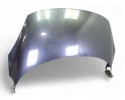 Capo, Renault Scenic Iii (Jz) Dynamique 2010