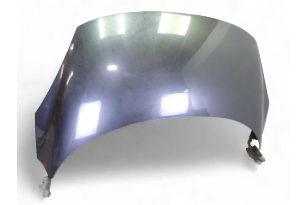 Capo, Renault Scenic Iii (Jz) Dynamique 2010