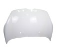 Capo, Ford Fiesta (CB1) Ambiente 2010
