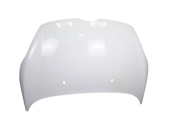 Capo, Ford Fiesta (CB1) Ambiente 2010