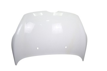 Capo, Ford Fiesta (CB1) Ambiente 2010