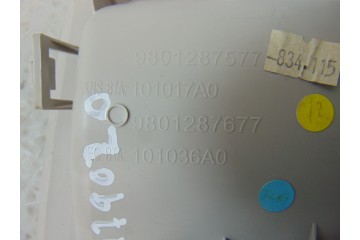 Luz interior, Citroen C4 Cactus Feel 2014, 9801287577
