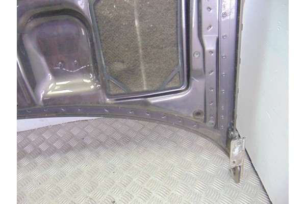 Capo, Audi A8 (D2) 2.5 TDI Quattro 2001