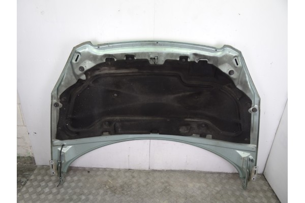 Capo, Peugeot 307 Break / Sw (S1)(04.2002) Sw Pack 2003