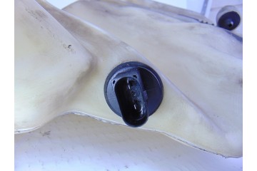Deposito limpia, Audi A6 Avant (4B5) 3.0 2002, 4B0955453A