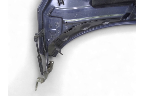 Capo, Renault Scenic Iii (Jz) Dynamique 2010