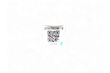 Mando luces, Renault Scenic Iii (Jz) Dynamique 2010, 255670019R