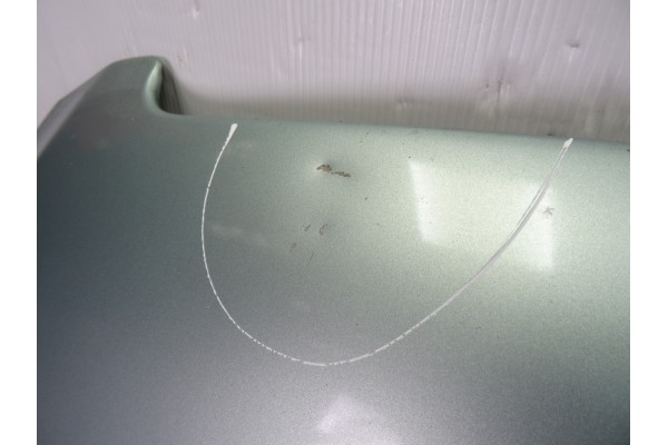 Capo, Peugeot 307 Break / Sw (S1)(04.2002) Sw Pack 2003