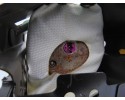 Kit airbag, Chrysler Pt Cruiser 2.0 Classic 2001