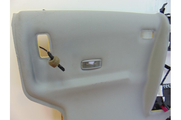 Techo interior, Volkswagen Phaeton (3D3/3D7) TDI V6 4Motion (5 asientos) 2007