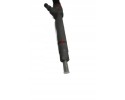 Injector Bosch 0445110166 Mercedes 2 2 CDI OM611 A6110700487 Car type passenger cars