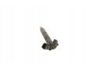 INJECTOR WITH SEALANT 0 445 116 025 BOSCH Catalog number of the original MERCEDES BENZ 642 070 11 87 MERCEDES BENZ A 642 070 11 