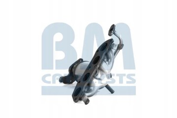 CATALYST BM91976H BM CATALYSTS Product weight 5 kg