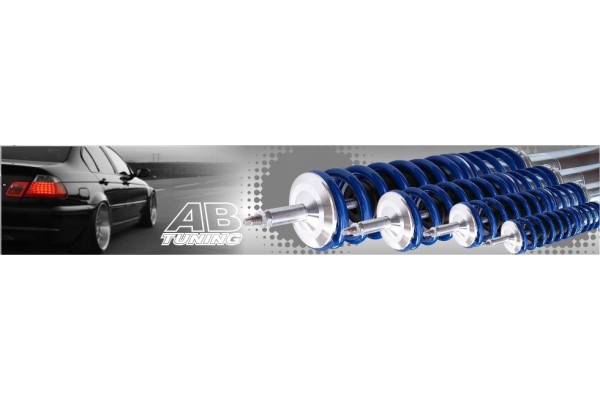 Suspensión roscada TA Technix para VW Bora 1J / Golf IV MK4 1J / New 