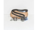Timing kit 03L198119E AUDI A3 8P1 TT VW PASSAT B6 SEAT ALTEA 5P1 LEON Packaging status original
