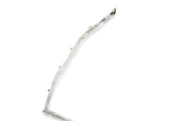 4E0880742 AIRBAG CORTINA DELANTERO DERECHO AUDI A8 (4E) 3.0 TDI Quattro 2005 4E0880742 211574 AUDI - 1