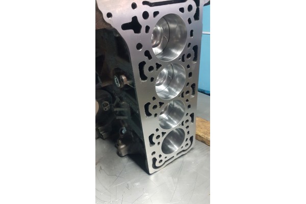 Bloque de motor para Ford Custom 2.0 Transit mk8 Ecoblue Ymfa Ymfb Ymfs Bkfa usado 2