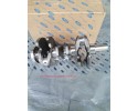 CRANKSHAFT FORD 1 0 Ecoboost H6BG 6303 AA H6BG6303AA NEW ORIGINAL