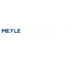 Suspension control arm set rear MEYLE 716 050 0039 S