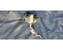 Webasto TOYOTA LAND CRUISER J15 122R000314 2 8L diesel 130kW 2019 1813 Catalog number of the part OME WEBASTO LAND CRUISER 100 1