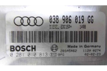 038906019GG CENTRALITA MOTOR UCE AUDI A4 BERLINA (8E)