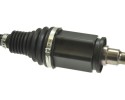 305651 LOB POLOS DRIVE LOBRO