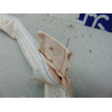 AIRBAG CORTINA DELANTERO IZQUIERDO OPEL INSIGNIA BERLINA AIRBAG CORTINA DELANTERO IZQUIERDO OPEL INSIGNIA BERLINA