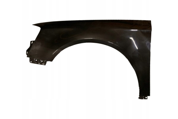 MUDGUARD VW PASSAT B6 LC8Z 05 10 Right Left mudguard mortar varnish Part manufacturer no brand