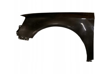 MUDGUARD VW PASSAT B6 LC8Z 05 10 Right Left mudguard mortar varnish Part manufacturer no brand