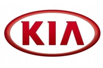 COLLECTOR VORTEX VALVE KIA SPORTAGE HYUNDAI i40 ix35 i30 1 4 1 6 1 7 CRDI Part manufacturer Kia OE