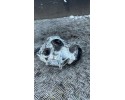 Front differential Mercedes Benz CLASS S 2015 A2213307500 Part manufacturer Mercedes Benz OE