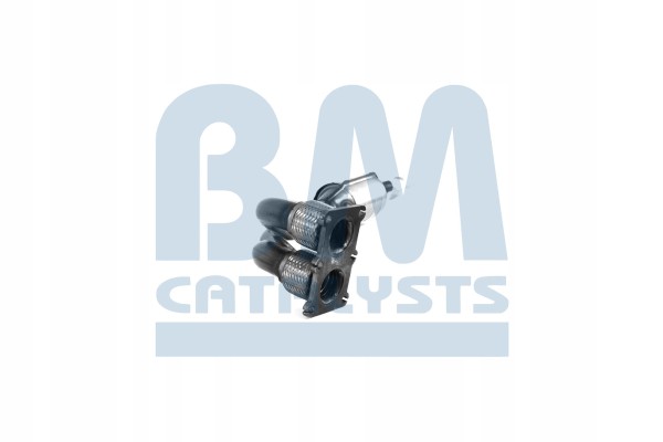 Catalizador BM Catalysts BM90529H usado 9