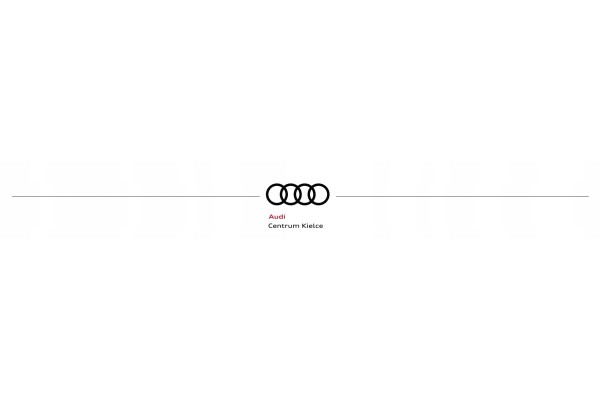 Guardabarros Vag Audi Q8 4M 2019 Original 4M8075116 usado 5