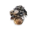 DIESEL ENGINE 1 6 TDCI FORD C MAX BH02 10JBHT Car type passenger cars