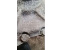 Reductor delantero BMW X5 (E70) 17586910 3.0L gasolina 225kW 2011