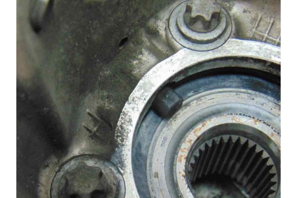  MANGUETA TRASERA IZQUIERDA BMW SERIE 5 BERLINA (E60) 525d 2005 179697 BMW - 5