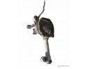 Front differential Ford Explorer 46058REVBA Part manufacturer Ford OE